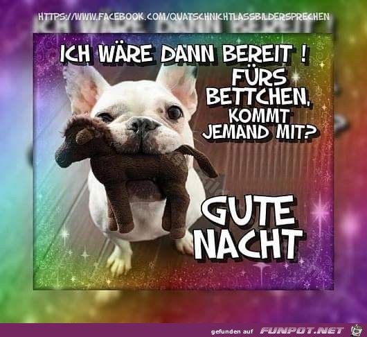 Gute Nacht
