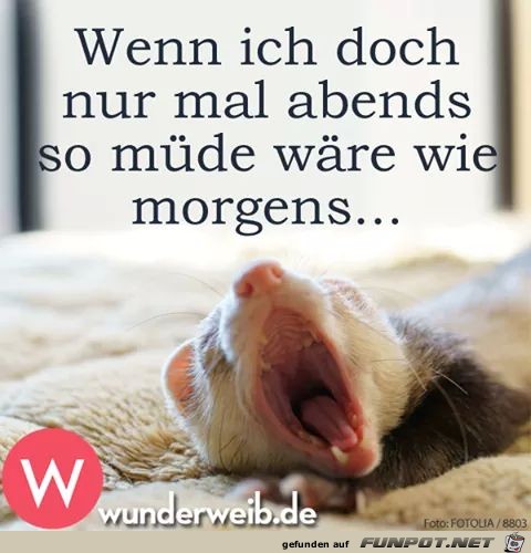 witzige Bilder aus verschiedenen Blogs