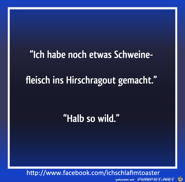 halb so wild halb so wild