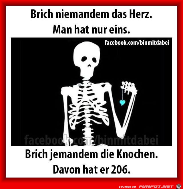 klasse Sprche und Witze!