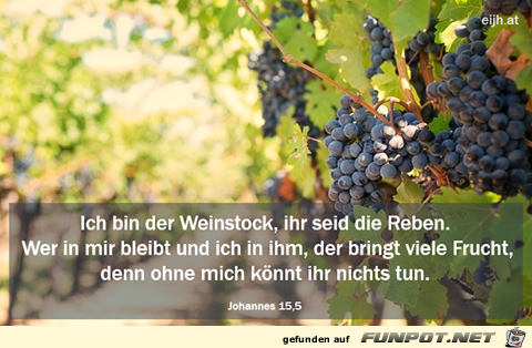 Johannes 15 5 Johannes 15 5