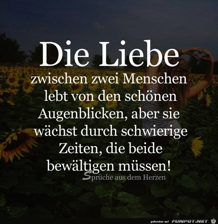 Die Liebe Die Liebe
