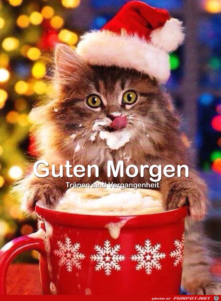 Guten Morgen - Guten Morgen -