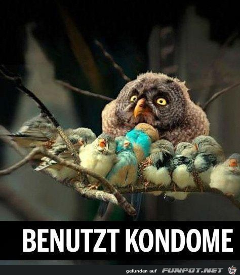 benutzt benutzt