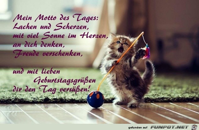 Mein Motto des Tages Mein Motto des Tages