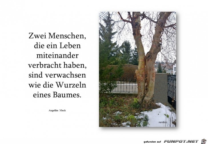 zwei menschen zwei menschen