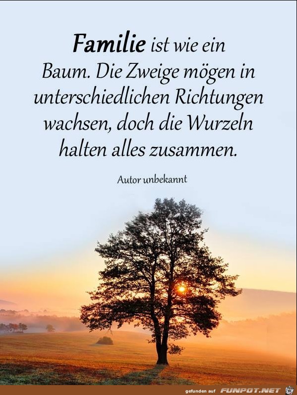 10 schne Sprche und Lebensweisheiten aus...