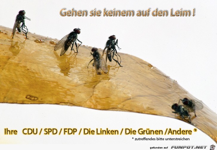 Wahlplakat Wahlplakat