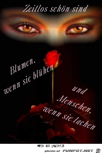 zeitlos schaeoen zeitlos schaeoen