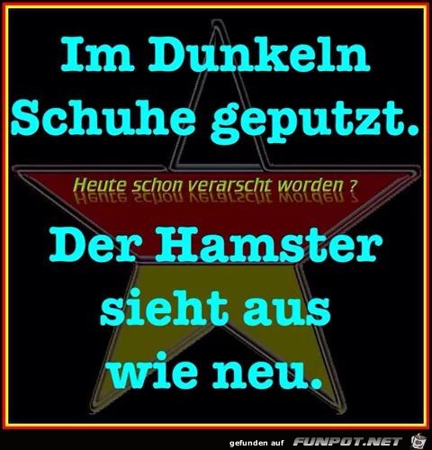 schuhe putzen