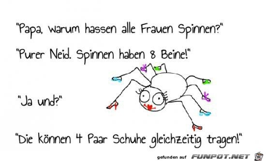 spinnen