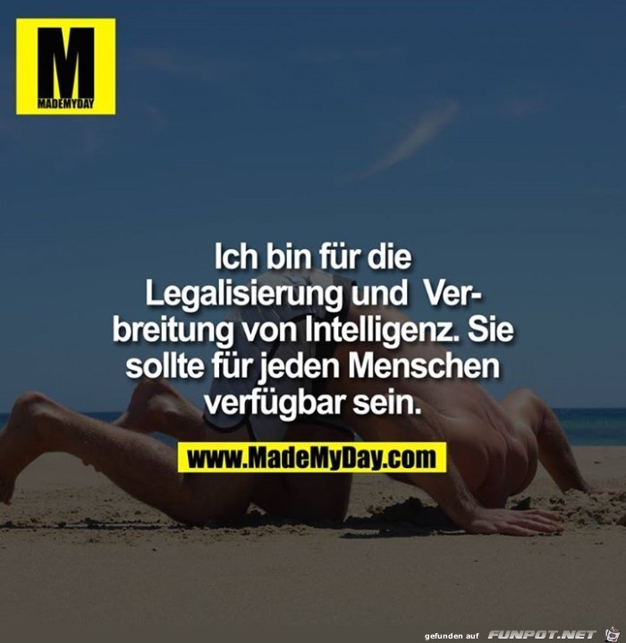 Legalisierung Legalisierung