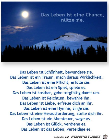 das Leben ist das Leben ist