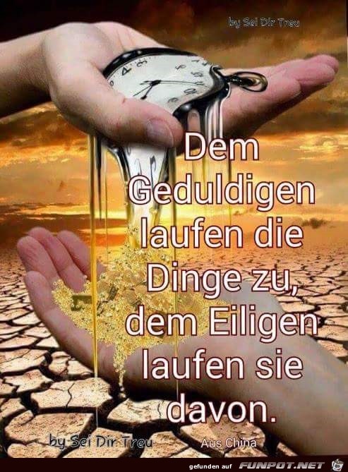 dem geduldigen dem geduldigen