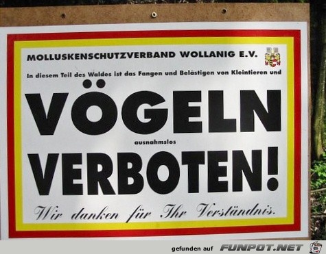 Bilder / Pictures