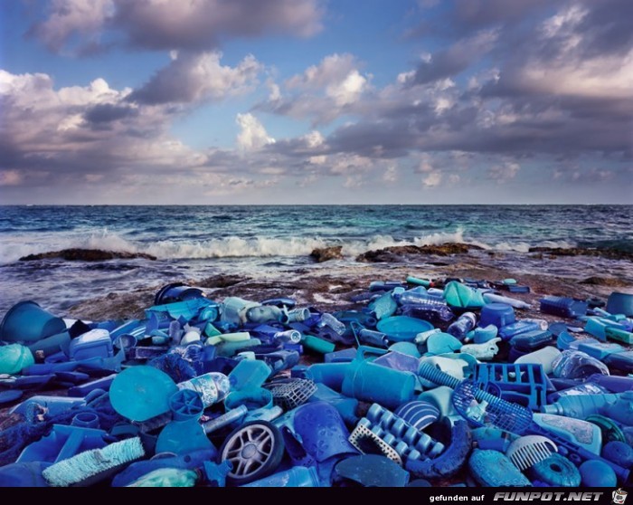 Alarmierende Kunstwerke aus Mll, der ins Meer...