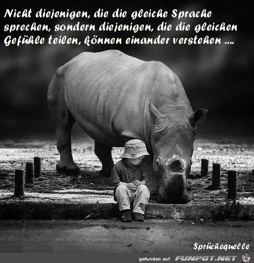 gleiche sprache gleiche sprache