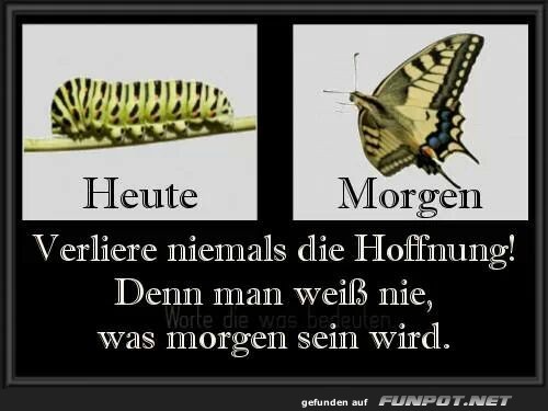 heute-morgen