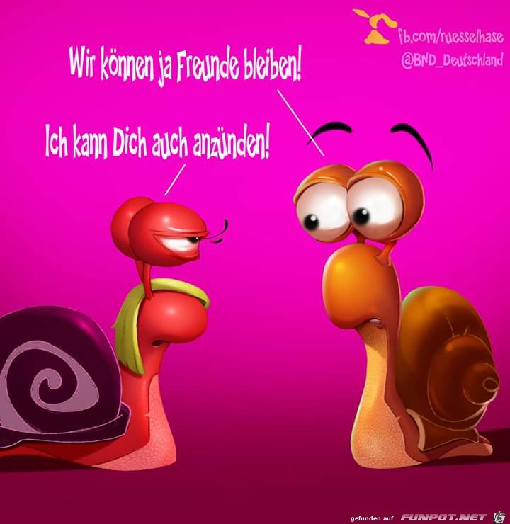 klasse Sprche und Witze!