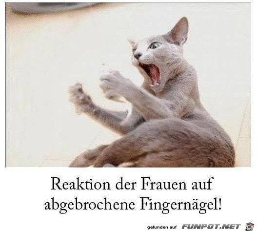 Reaktion der Frauen Reaktion der Frauen