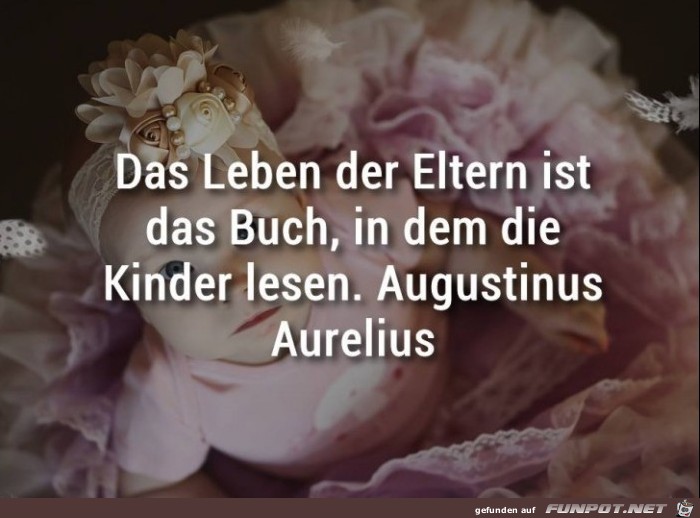 Buch Buch