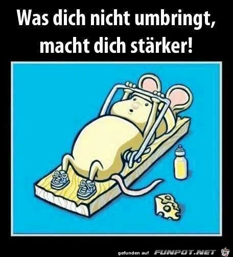 Was Dich nicht umbringt... Was Dich nicht umbringt...