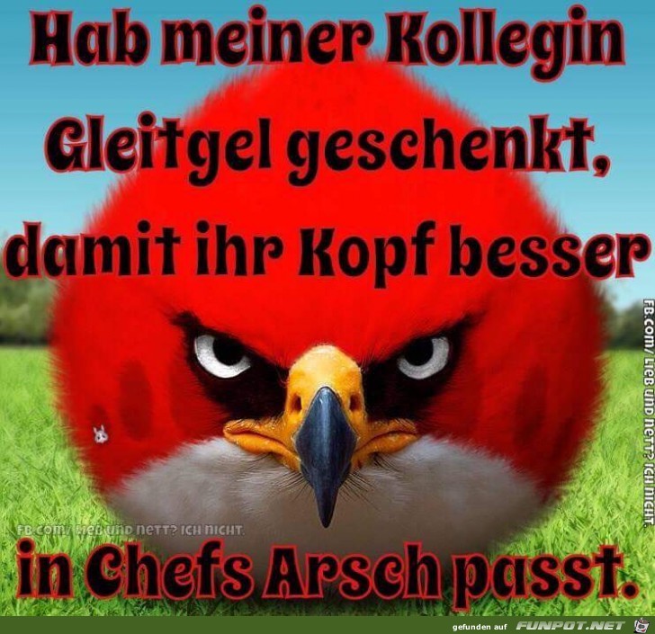 Gleitgel Gleitgel