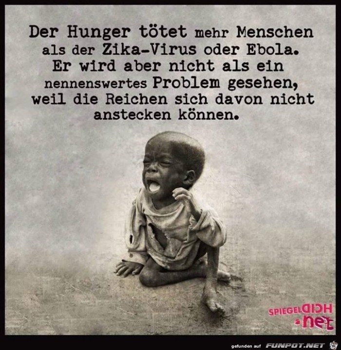 Hunger Hunger