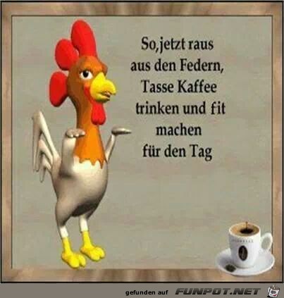 raus aus den federn raus aus den federn