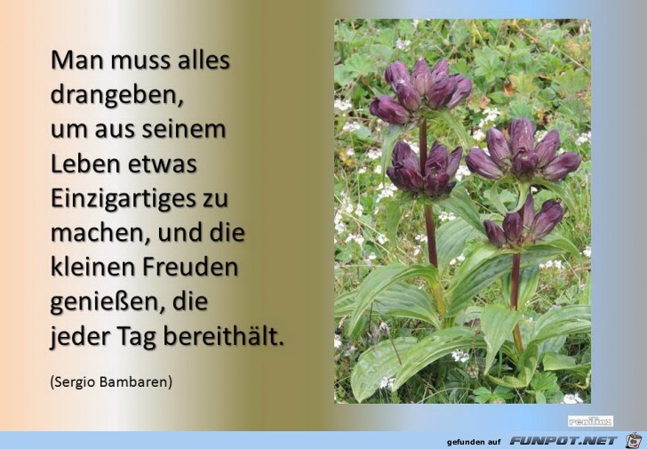 Einzigartiges Einzigartiges