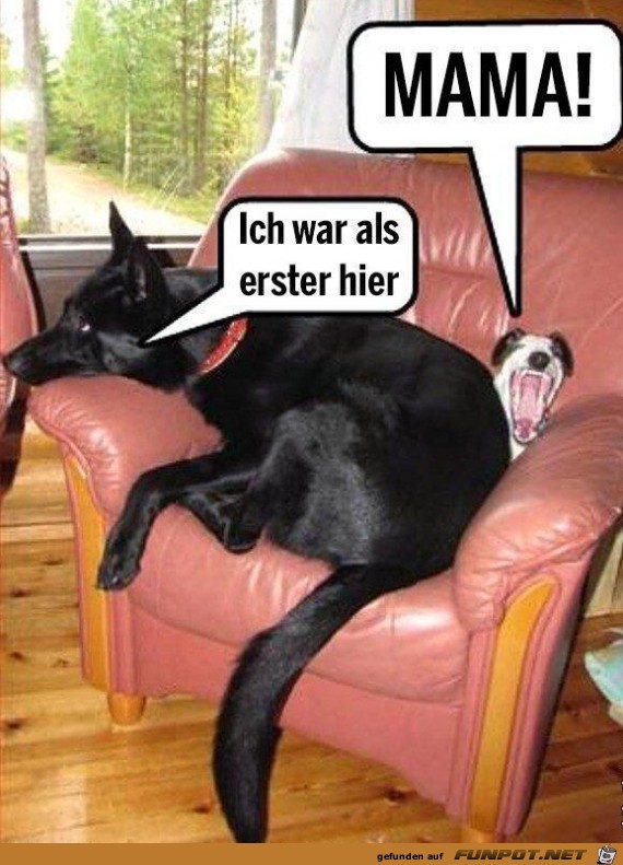 Erster Erster