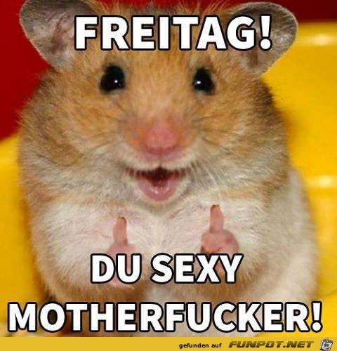 Freitag
