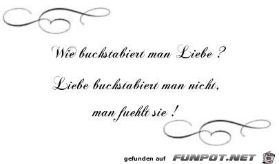 schöne Sprüche zur Liebe und Partnerschaft