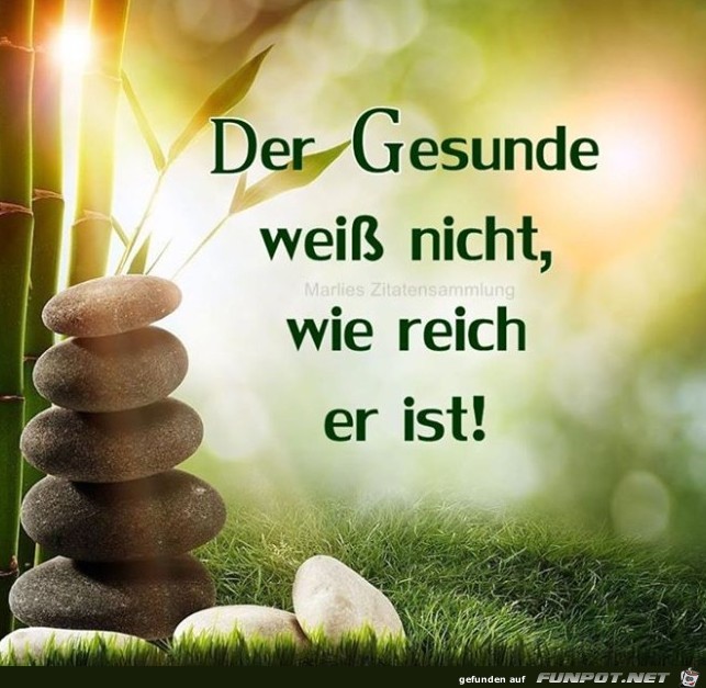 Der Gesunde Der Gesunde