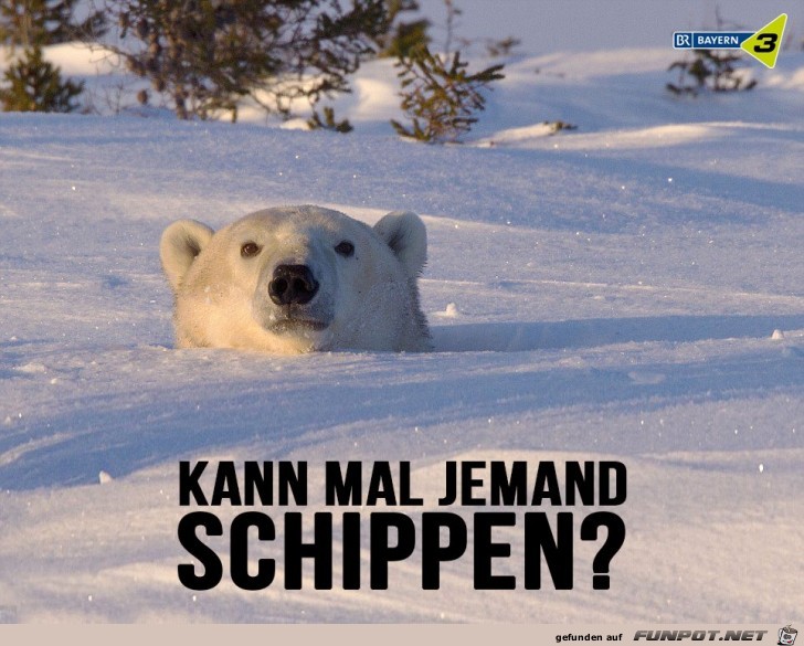 schippen schippen