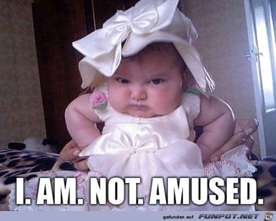 not amused not amused