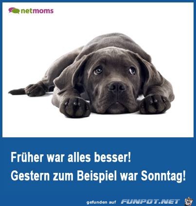 gestern gestern
