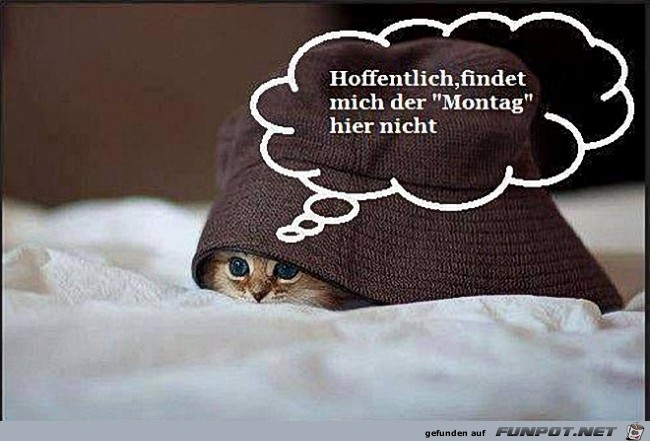 Montag Montag