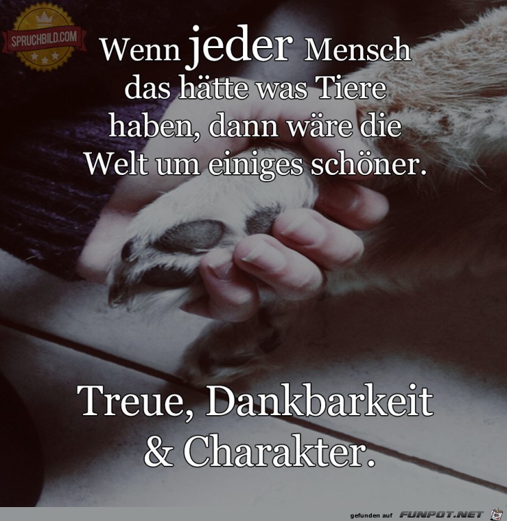 Wenn jeder Mensch Wenn jeder Mensch