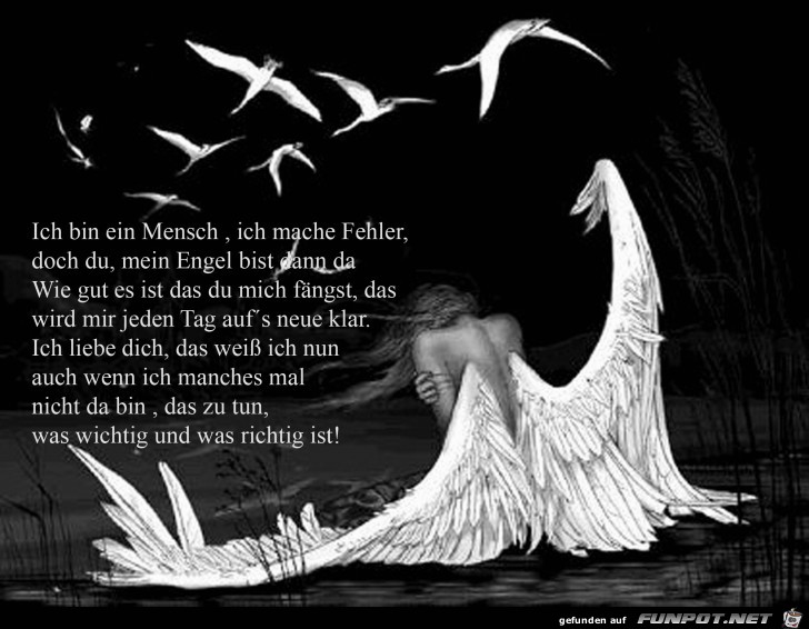 schöne Sprüche zur Liebe und Partnerschaft