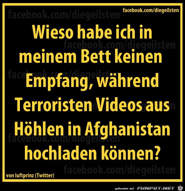 Empfang Empfang