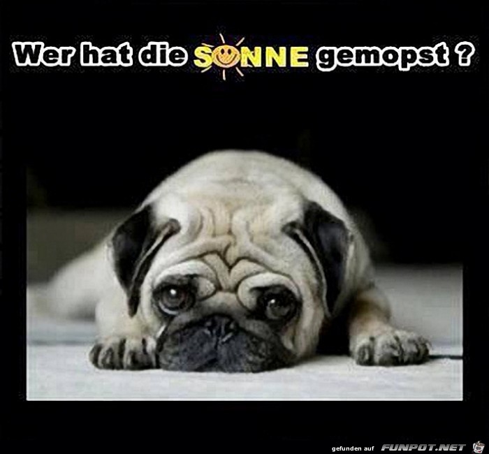 wer wer