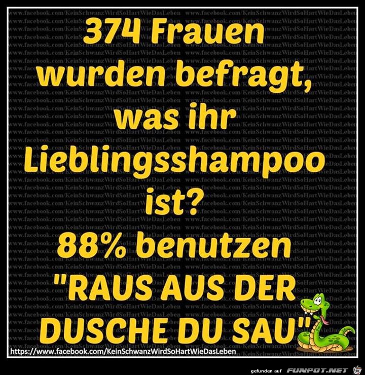 Lieblingsshampoo