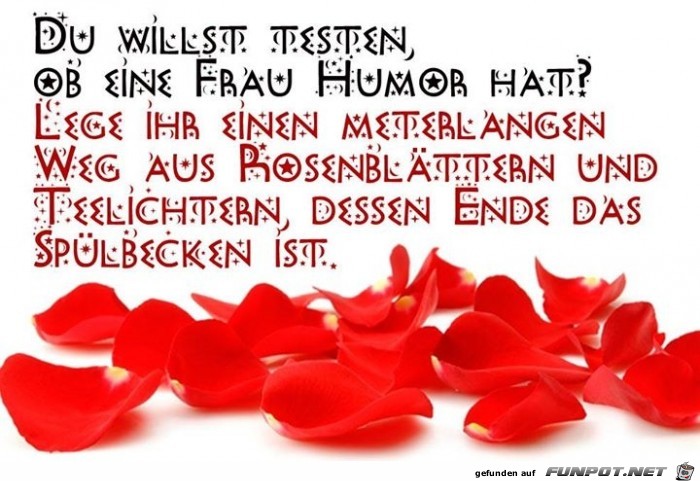 testen testen