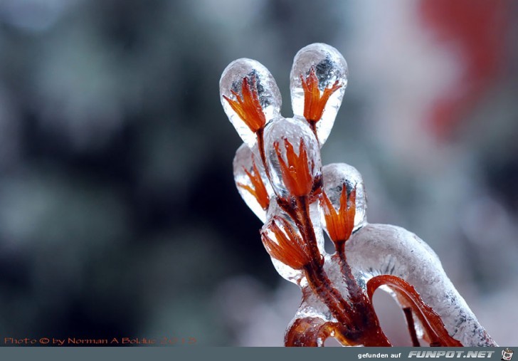 Gigantische Schnee- und Eis-Formationen!