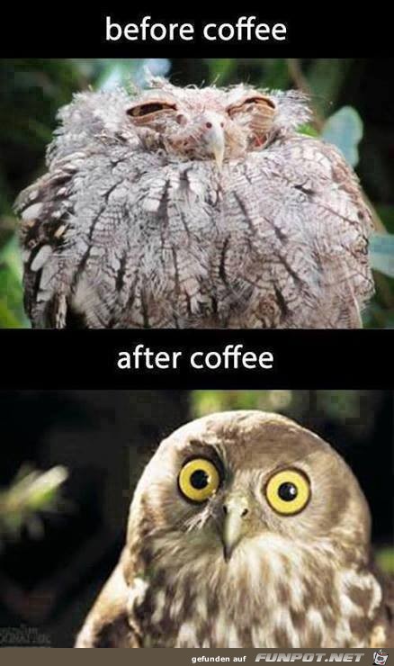 Kaffee veraendert einen Kaffee veraendert einen