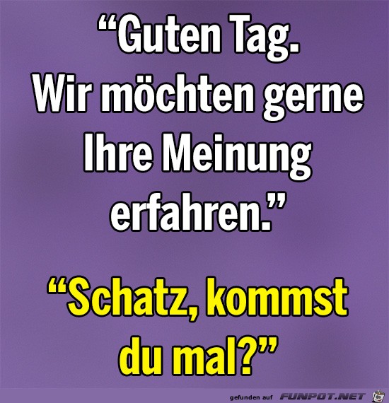 meinung meinung
