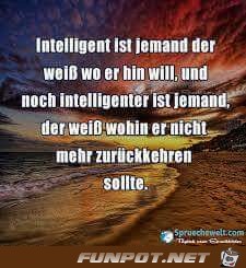 Intelligent Intelligent