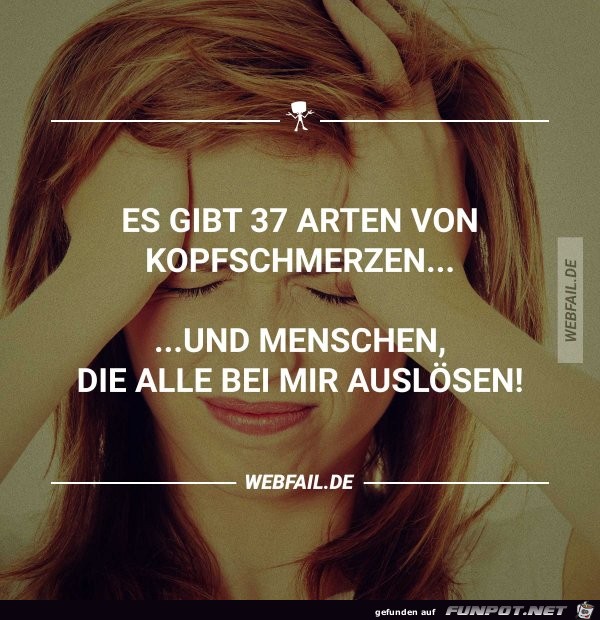 37 Arten 37 Arten