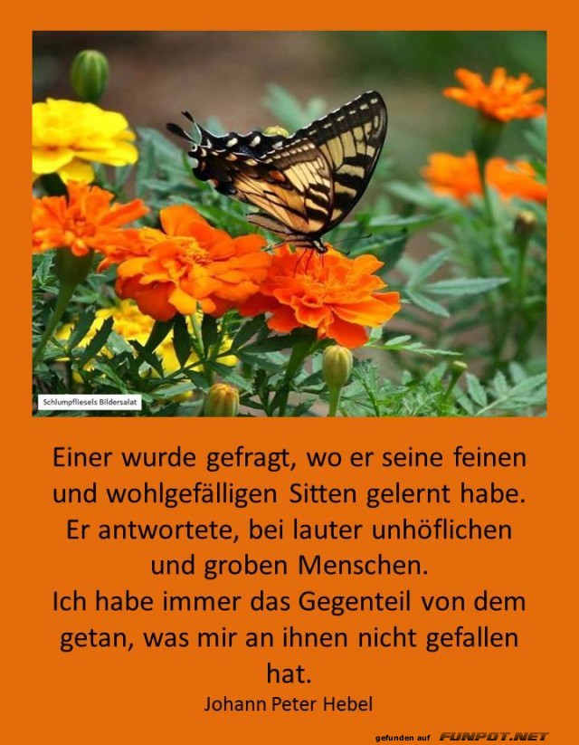 Wohlgefaellige Sitten Wohlgefaellige Sitten